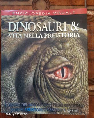 Libri di storia e dinosauri