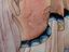 Immagine 13