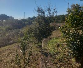 Terreno agricolo a Santa Venerina