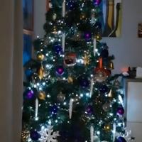 Albero di Natale