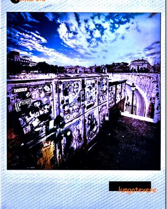 Poster Roma