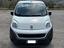 Immagine 4