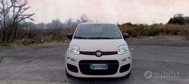 FIAT Panda 3ª serie - 2017