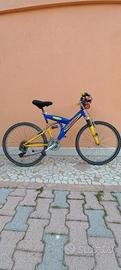 bicicletta ragazzo 