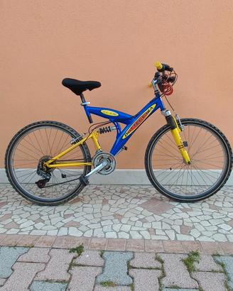 bicicletta ragazzo 
