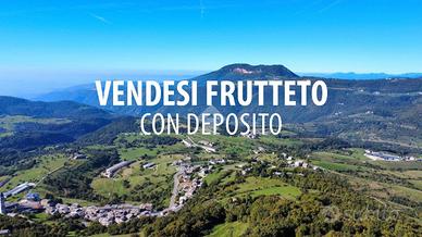 RUSTICO A SANT'ANNA D'ALFAEDO