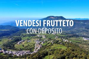 RUSTICO A SANT'ANNA D'ALFAEDO