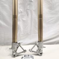COPPIA FORCELLE ORO ORIGINALI PER BMW R1200 GS K50
