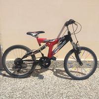 Bicicletta raggio 20