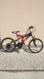 Bicicletta raggio 20