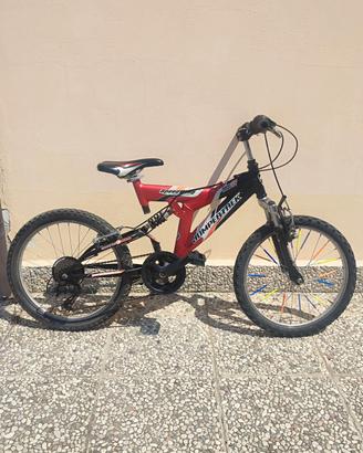 Bicicletta raggio 20