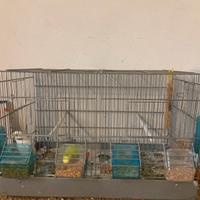 Gabbia da cova zincata