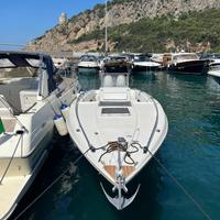 Chris Craft Stinger 313 (scarab 302)