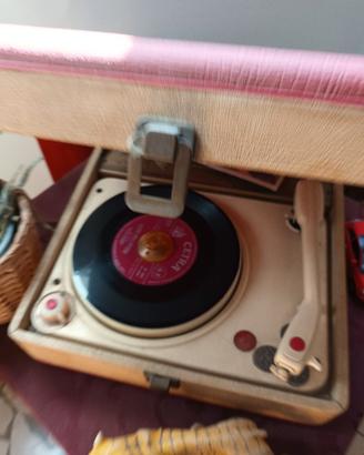 articolo per collezione 