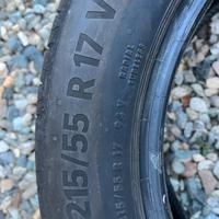 Gomme estive