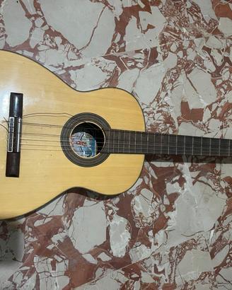 Chitarra salterio