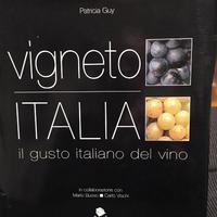 Vigneto Italia - Il gusto italiano del vino