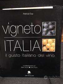 Vigneto Italia - Il gusto italiano del vino