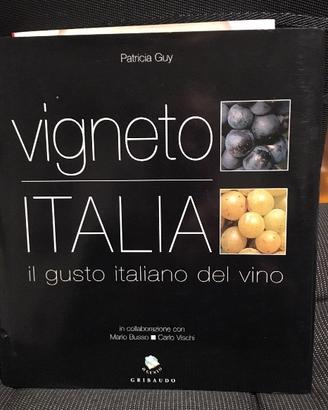 Vigneto Italia - Il gusto italiano del vino