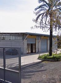 Capannone C3 da 300mq