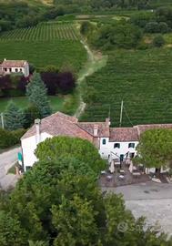 Agriturismo colli euganei