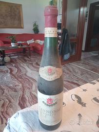 vino cannonau rosato 1964