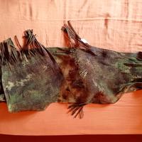 kefiah Softair militare esercito italiano 