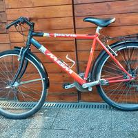 Bicicletta  tipo Mountain Bike 