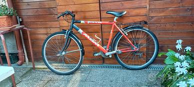 Bicicletta  tipo Mountain Bike 