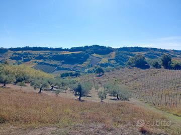 Terreno Agricolo 