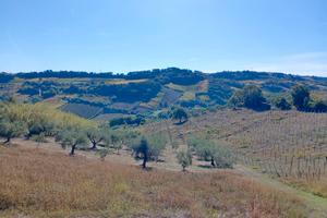 Terreno Agricolo 