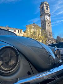 Maggiolino vetro piatto  serie speciale Winter bug