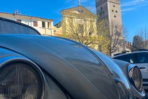 Maggiolino vetro piatto  serie speciale Winter bug