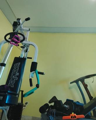 Palestra completa come nuova