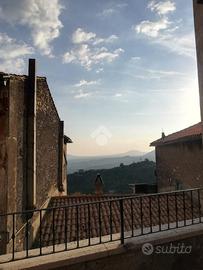 3 LOCALI A OLEVANO ROMANO