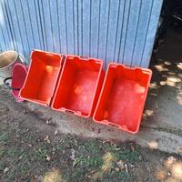 Cassette e cestelli per raccolta uva.