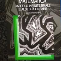 Matematica calcolo infinitesimale e algebra linear
