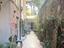 Immagine 11