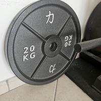 Coppia dischi ghisa 20kg strengthshop