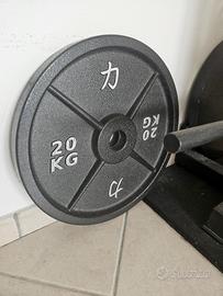 Coppia dischi ghisa 20kg strengthshop 50mm