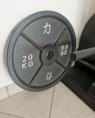 Coppia dischi ghisa 20kg strengthshop 50mm