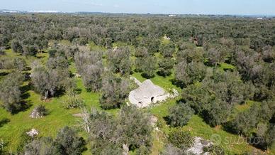 Trulli e terreno