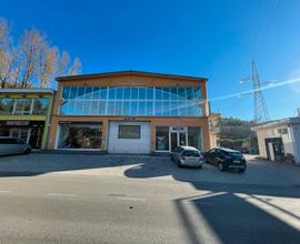 Capannone industriale/artigianale