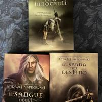 Libri the witcher