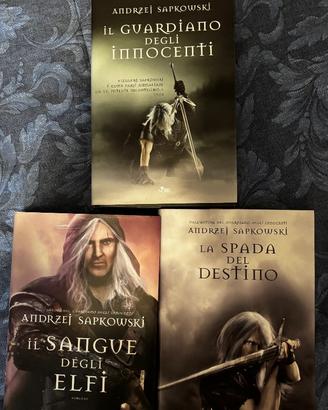 Libri the witcher