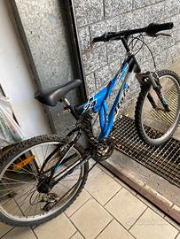Bicicletta