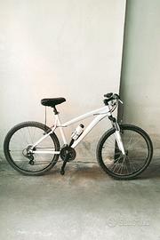 Bicicletta Mtb