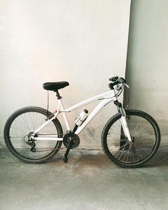 Bicicletta Mtb