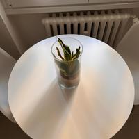 tavolo rotondo 80cm diametro  nuovo