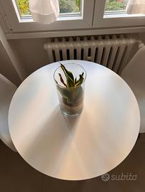 tavolo rotondo 80cm diametro  nuovo